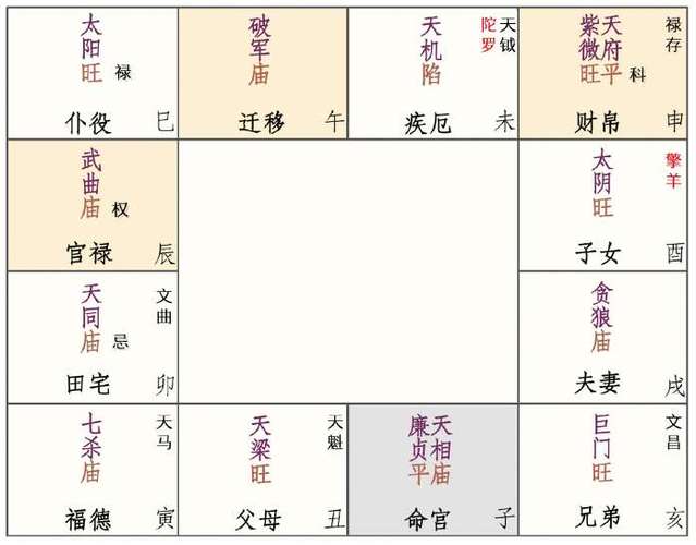 廉贞化忌在命宫