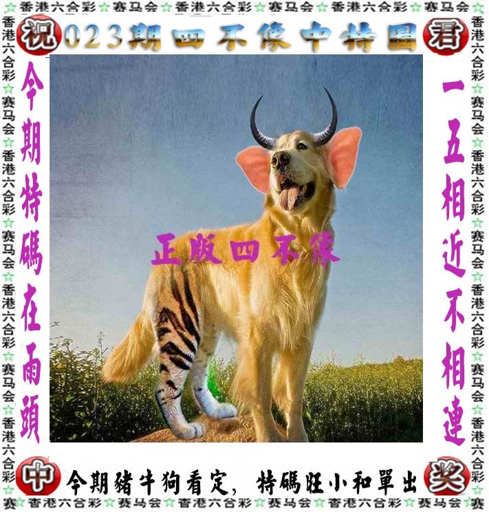 新沃门开奖记录
