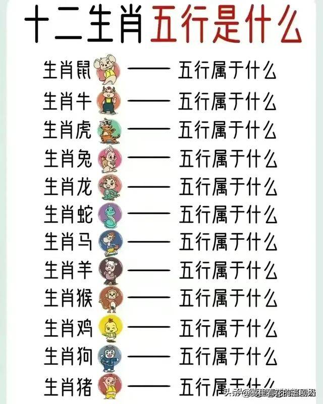 最新版2024十二生肖表