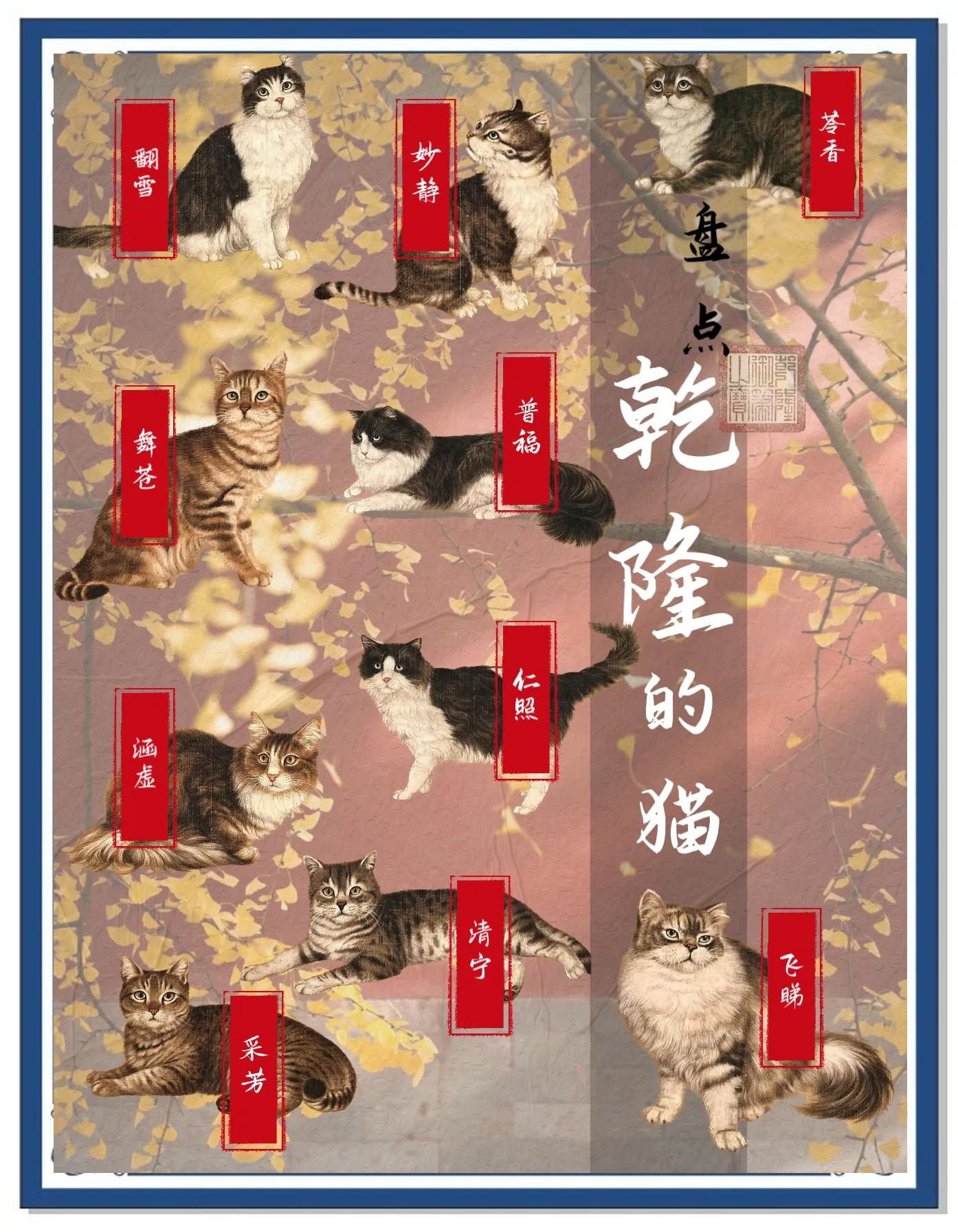 科普展现:乾隆名字叫什么（乾隆名号叫什么）