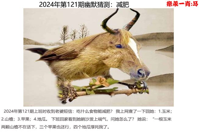 2024年香港本港最快开奖结果