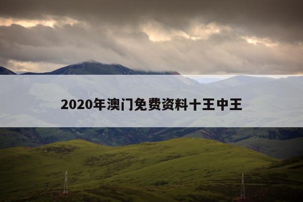 2020年澳门免费资料十王中王