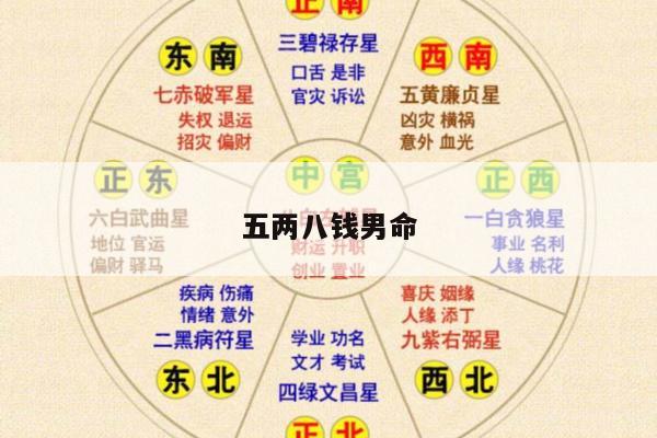 五两八钱男命