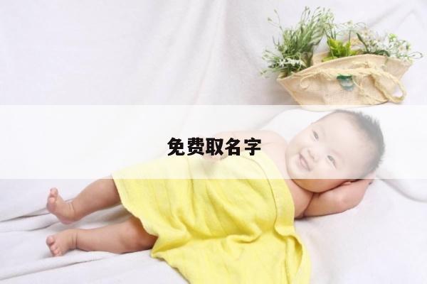 免费取名字