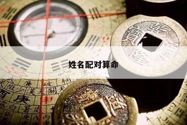 2025年5月17日