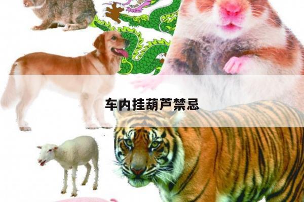 车内挂葫芦禁忌