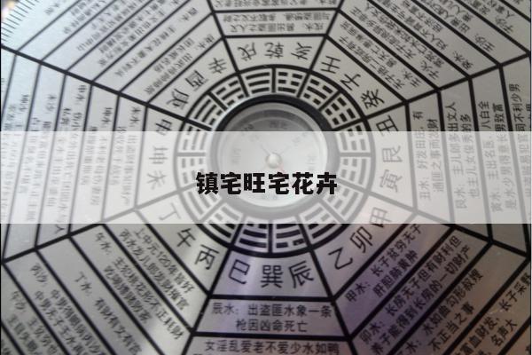 镇宅旺宅花卉