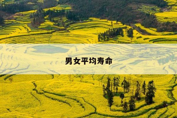 男女平均寿命