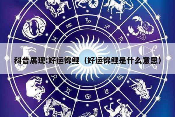 科普展现:好运锦鲤（好运锦鲤是什么意思）