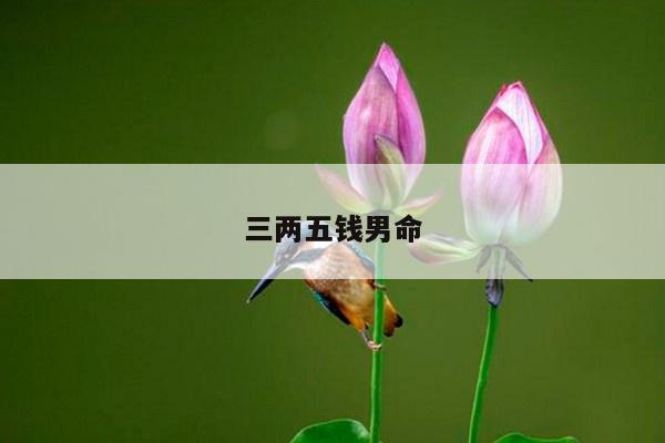 三两五钱男命