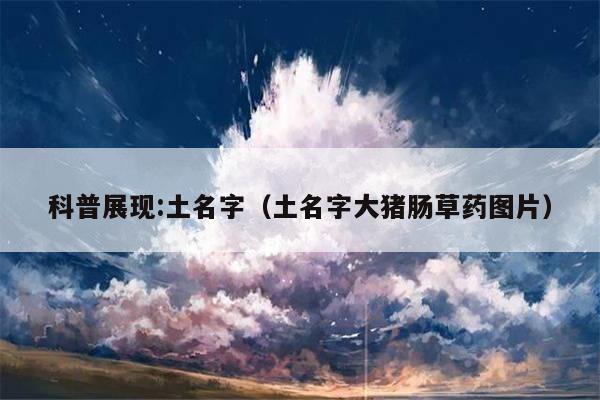 科普展现:土名字（土名字大猪肠草药图片）