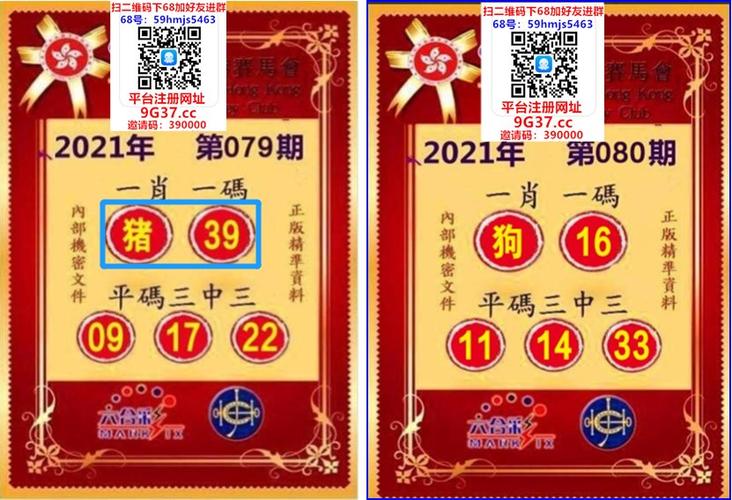 一肖一码一一肖一子,一肖一码一一肖一子深圳