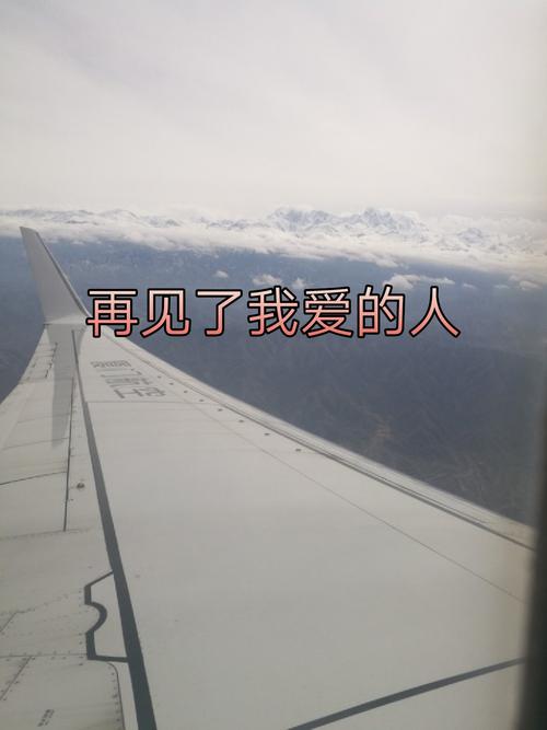 2025年4月 第118页