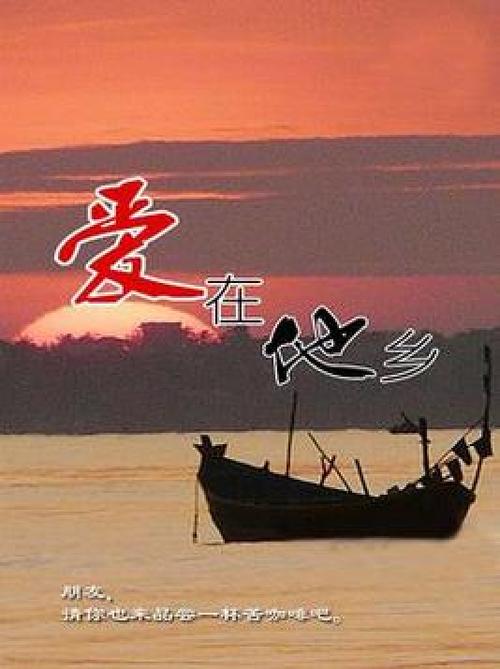 爱在他乡的季节,爱在他乡的季节结局