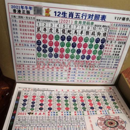 香港特马开马开奖结果十二生肖图,