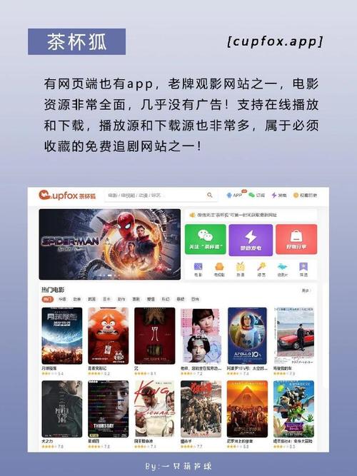 电影网免费看电影,电影免费官网