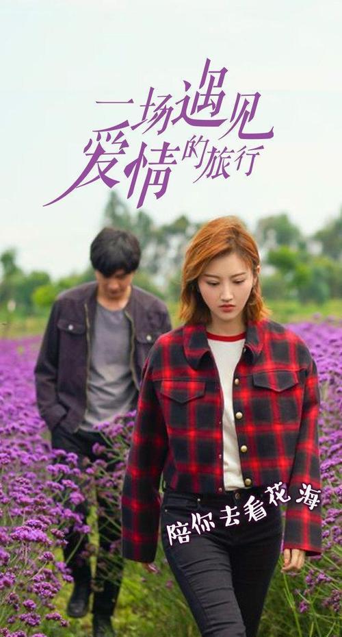 一场遇见爱情的旅行,一场遇见爱情的旅行电视剧免费观看
